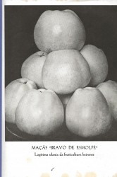 A REGIÃO FRUTICOLA DA MACIEIRA "BRAVO DE ESMOLFE". Inquérito realizado pela Junta Nacional das Frutas no ano de 1947.