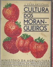 CULTURA DOS MORANGUEIROS.