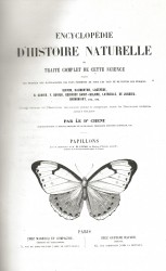 PAPILLONS - Encyclopédie d'Histoire naturelle ou Traité complet de cette science d'après les travaux des naturalistes les plus éminents de tous les pays et de toutes les époques: Buffon, d'Aubenton, Lacépède, G. Cuvier, F. Cuvier, Geoffroy Saint-Hilaire, Latreille, De Jussieu, Brongniart, etc. etc.