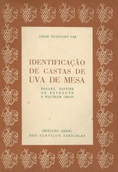 IDENTIFICAÇÃO DE CASTAS DE UVA DE MESA, Rosaky, Pattier de Beyrouth e Waltham Cross.