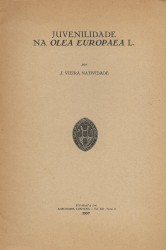 JUVENILIDADE NA OLEA EUROPAEA L.