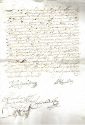 MANUSCRITO. Carta do Rei D. João V concedendo o Oficio de Juiz dos Orfãos da Cidade de Vizeu a João Correia de Bulhões, assinado pelo Dr. Luis Guedes Carneiro, D. Miguel Maldonado e D. António Beja de Noronha do Conselho de sua Magestade.